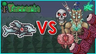 Terraria  SDMG vs All Bosses [upl. by Marelda]