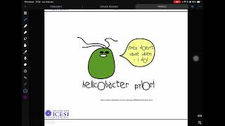 Infecciones Tracto Gastrointestinal 2  V Cholerae H Pylori C Jejuni [upl. by Prudie]