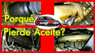 Fuga de aceite en motor🤔 como solucionarlo y como diagnosticar la zona con fuga [upl. by Lsiel]