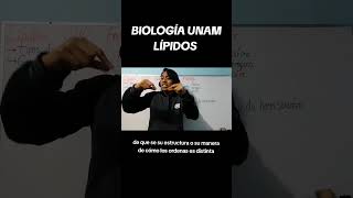 BIOLOGÍA UNAMLOS LIPIDOS vamospor120 universidad examenunam LIPIDOS [upl. by Alvira920]