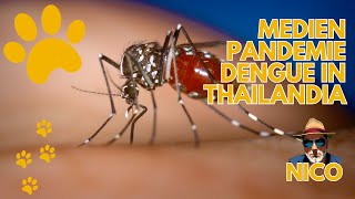 Medien Pandemie Dengue in Thailand  Impfen oder nicht [upl. by Fabrice]