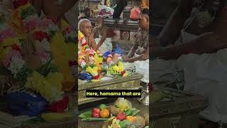 THIS is how a communityrun temple should work tirupati chidambaram tamilnadu [upl. by Hsaniva645]