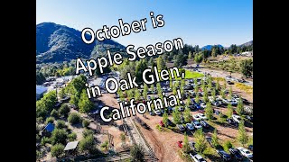 My Yucaipa Oak Glen Apple Season 2023 [upl. by Einram]