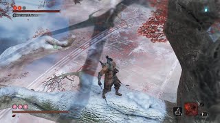 Sekiro True Monk Strategy [upl. by Supat]