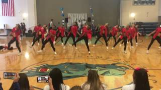 Junior Varsity Pantherettes 2016 Homecoming Performance [upl. by Aened995]