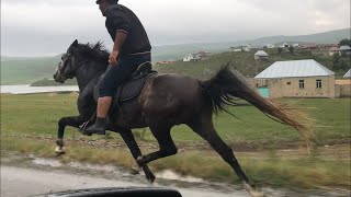 Yorga Atlar Kabus Gəncə [upl. by Yrelbmik]