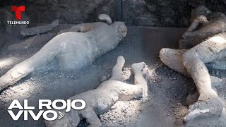 Historias de Pompeya se reescriben tras nuevos análisis de ADN [upl. by Frymire]