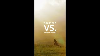 Grass Fed vs Grass Finished Beef [upl. by Vena]