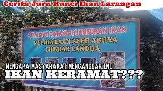 Cerita Juru Kunci Tentang Ikan quotKeramatquot Warisan Syech Muhammad Basyir  Syech Lubuk Landur [upl. by Nurav920]