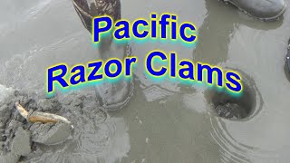 2024 Pacific Razor Clamming [upl. by Onaled]