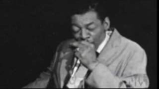 Little Walter RampR Hall of Fame film [upl. by Adev]