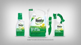 How to Use Roundup® For Northern Lawns Products Properly to Kill Weeds in Your Lawn [upl. by Atnohsal]