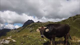 Bregenzerwald Wanderung Wunderschöne kleine Runde im Widdersteingebiet vom Hochtannbergpass aus [upl. by Ihtraa776]