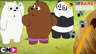 Le miel et les abeilles  We Bare Bears  Cartoon Network [upl. by Greeson]