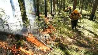 Forscher machen Klimawandel verantwortlich für Hitze in Sibirien  AFP [upl. by Drawets242]