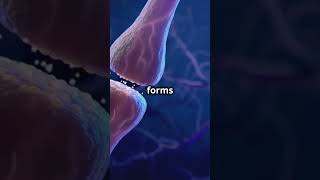 Endocytosis and Exocytosis How Cells Move Materials in and out of the Cell [upl. by Froehlich174]