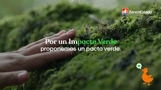 Impacto Verde 15 BancoEstado [upl. by Firman]