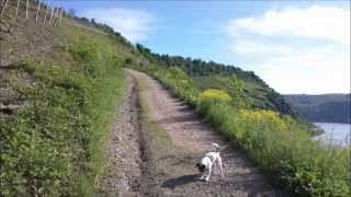 Klettersteigtour 2013 Der Oelsbergsteig bei Oberwesel [upl. by Oys371]