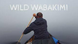 Wild Wabakimi  Series Trailer [upl. by Nnylsoj]