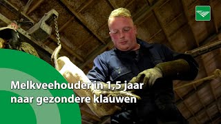 Melkveehouder in 15 jaar naar gezondere klauwen [upl. by Allan]