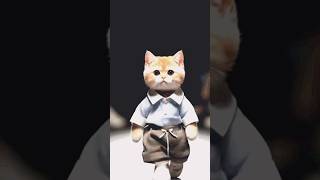 Cat 🐈🐈🐈Masti viralvideo [upl. by Naynek]