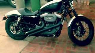 Sexiest Harley Sportster nightster Walkaround [upl. by Eiddet]