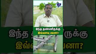 விவசாயிகள் இதை உரமா பயன்படுத்துறாங்க  Elan Cheran  Fish amp Aqua Farming fish prawns aquafarm [upl. by Winn459]