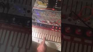 Metasonix TM1 vs Buchla music easel [upl. by Gervais]