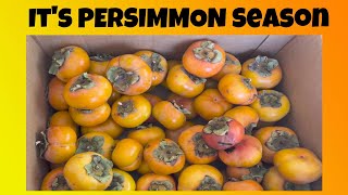 Its PERSIMMON SEASON persimmon fuyu hachiya persimmons persimmonfruit [upl. by Eelah]