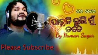 💚💚Full Audio version Paruni Bhuli Mun Tate Sad Song  Human Sagar 💛💛 [upl. by Eibot]