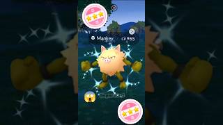 Finally I Got Shundo ✨Shiny Primeape in pokemon go pokemon soparstart shiny shundo [upl. by Fugere506]