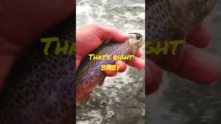 Nice and slow beavis butthead irespectfish rainbowtrout troutfishing catchandrelease shorts [upl. by Adiam778]