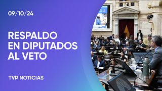 Financiamiento Universitario Diputados ratificó el veto de Milei [upl. by Notyap]