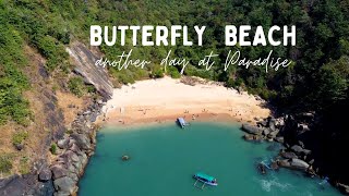 Butterfly beach ｜ Dolphin Safari ｜ South Goa [upl. by Vern]