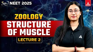 STRUCTURE OF MUSCLES  LOCOMOTION AND MOVEMENT CLASS 11 NEET 2025  COMPLETE ZOOLOGY [upl. by Clarey865]