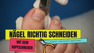 ZEHENNÄGEL SCHNEIDEN mit dem Kopfschneider  so geht es  So schneidest du FUSSNÄGEL richtig [upl. by Wirth]