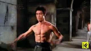 The Master Bruce Lee Livesfight [upl. by Mollie887]