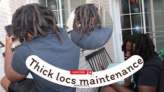 2 Year 6 month Update Thick Dreadlock Wash Routine thicklocs [upl. by Hubing]