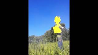 300 Win Mag 208 amax 500 yard headshots [upl. by Rustie]