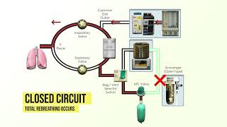 Anesthesia Machine Fundamentals [upl. by Llerrod352]