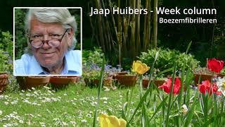 Jaap Huibers  Week column  Boezemfibrilleren en magnesiumtekort [upl. by Shaffert]