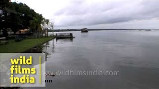 Sailing on Vembanad Lake Kerala [upl. by Jeffries]