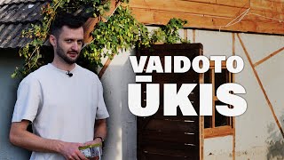 VAIDOTO ŪKIS  KALVĖS SIENOS  41 [upl. by Aneert]