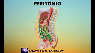 PERITÔNIO [upl. by Aicenet]