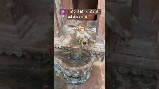 Om chants 108 Time by bindassviralvideobhakti kedarnath mantrameditationmusic omchantingjaap [upl. by Alhak]