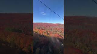 View of the Lutsen Mountains from a gondola So pretty fallcolors [upl. by Othello]