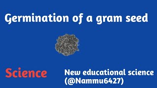 Germination of gram seed and their different partsNammu6427New educational science full video [upl. by Zebedee763]