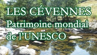 Les Cévennes classées au patrimoine mondial de lUnesco [upl. by Loella]