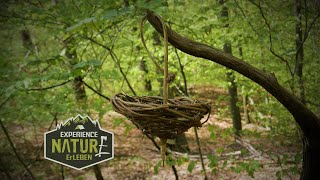 Bushcraft Korb flechten in 25 Minuten  Ganz schnell eine Körbchen selber basteln  DIY im Wald [upl. by Stratton]