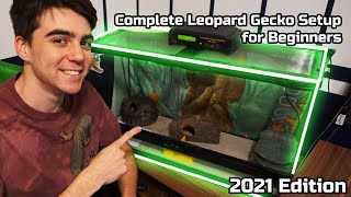 Complete Leopard Gecko Setup for Beginners  2021 Edition [upl. by Cromwell]